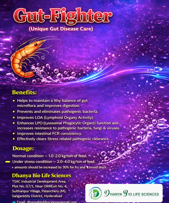 Gut - Fighter
