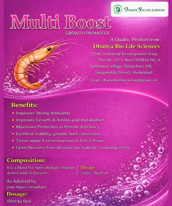 Multiboost