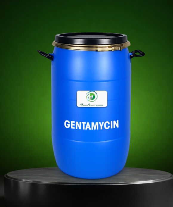 GENTAMYCIN